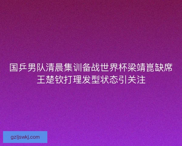 国乒男队清晨集训备战世界杯梁靖崑缺席王楚钦打理发型状态引关注