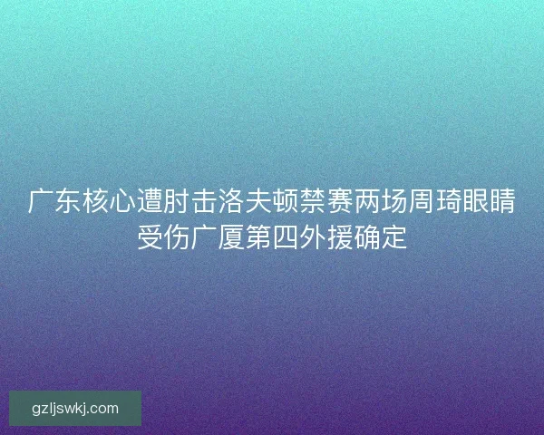广东核心遭肘击洛夫顿禁赛两场周琦眼睛受伤广厦第四外援确定